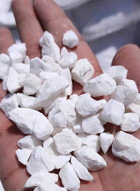 现货供制应白石子206白色水洗砾石卵园林庭院造景机白鹅石米白玉