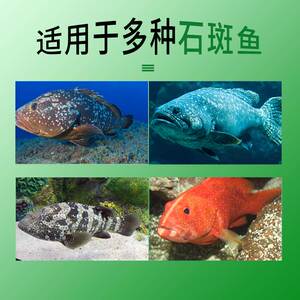 海童优食鱼饲料石斑鱼专用鱼食缓沉型珍珠斑杉虎斑金虎斑鱼粮