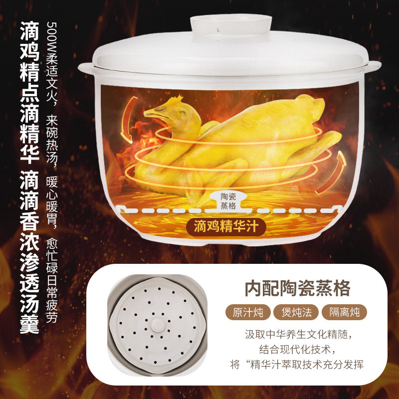 隔水炖盅全自动大容量超大陶瓷电炖锅家用煮粥煲汤锅一锅五胆4L