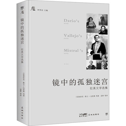 镜中的孤独迷宫 拉美文学选集
