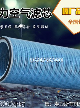 寿力LS32-450HWC螺杆空压机空气过滤器02250135-149空气滤芯保养