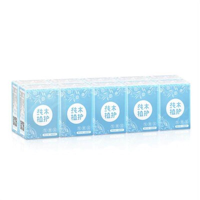 Pocket Tissues Travel Packs (30 Pack) Facial Tissue Packs