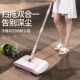 Sweeping Machine Household Wanben and Push Broom Dustpa Hand