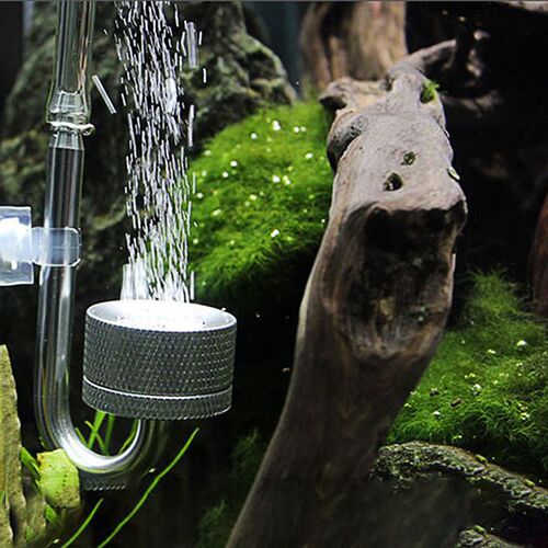 CO2 Generato With Suction Cup Fish Tank Bubble Atomizer Aqua