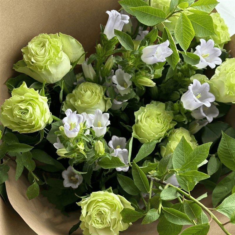 夏天清新绿色玫瑰小乔鲜花鲜切云南基地直发家用插花毕业花束真花,鲜花速递/花卉仿真/绿植园艺,花材,淘宝优惠券,粉丝福利购,淘宝优惠卷