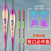 彩绘芦苇鱼漂高灵敏加粗醒目带壳芦苇浮漂黑坑竞技轻口滑口鲫鱼漂
