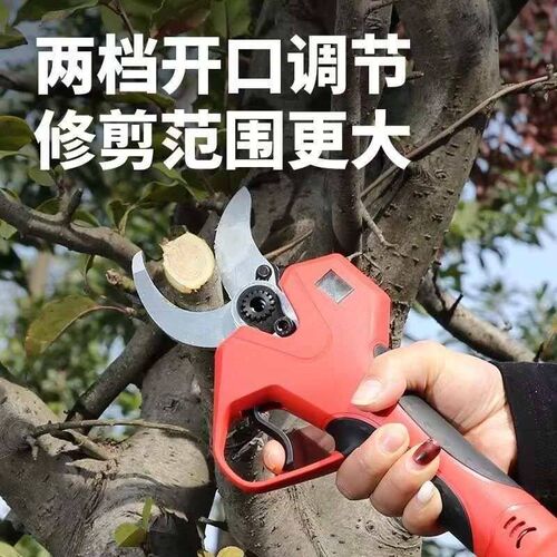 Electric pruning scissors, professional fruit tree pruning