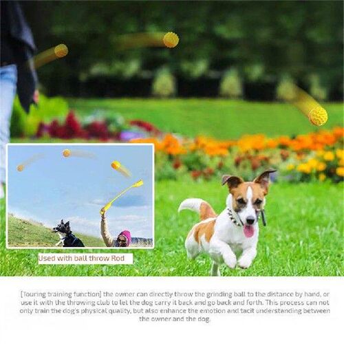 Pet Toy Ball Molar Bump Sturdy Lake Blue 42g Dog Toys Dog