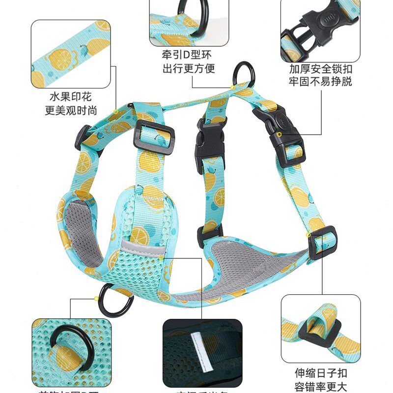 法斗巴哥牵引绳狗狗中小型犬遛狗绳背心式可调节胸背柯基八哥狗链