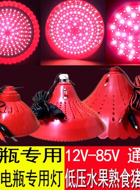 12-85V生鲜灯猪肉灯48V熟食灯60伏led水果灯低压电瓶灯红光黄白光