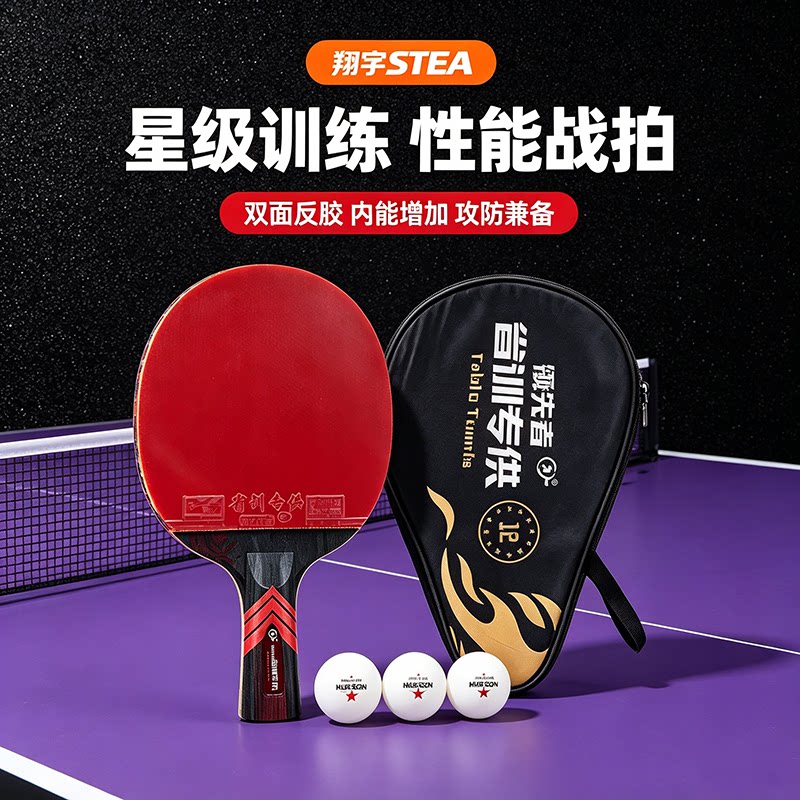 乒乓球拍专业高端12星小学生专用高粘高弹性品牌正品单拍直拍套装