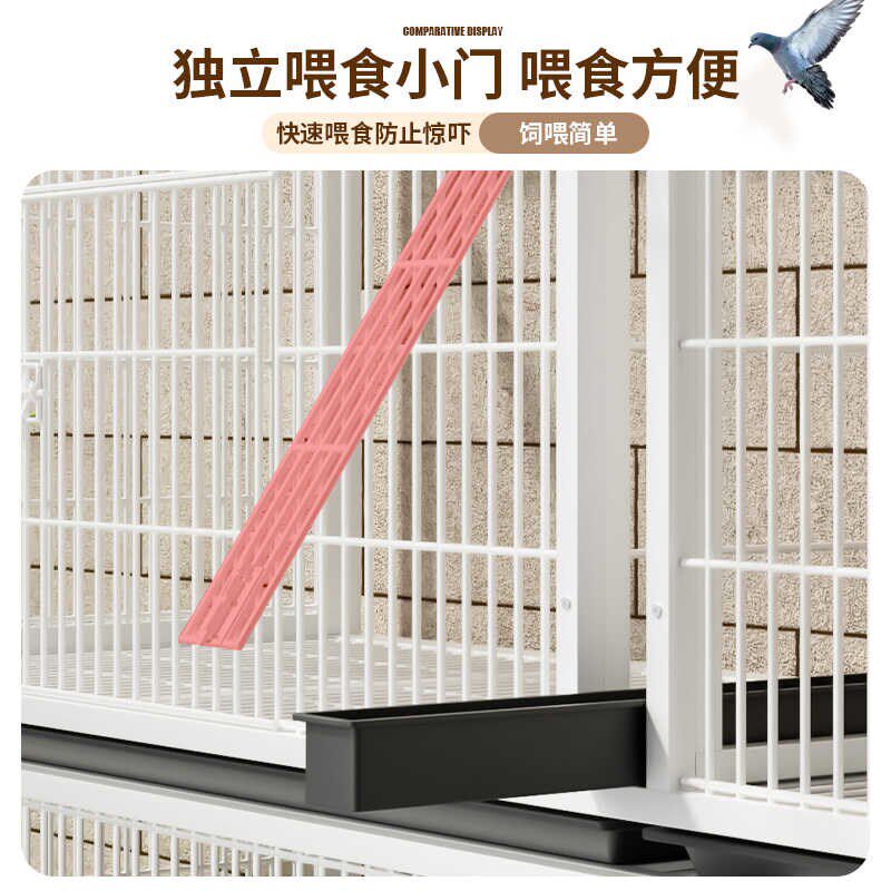 鸽子配对笼养殖加密鸽子笼繁育鸽子鸟笼金属室内加密宠物笼防老鼠