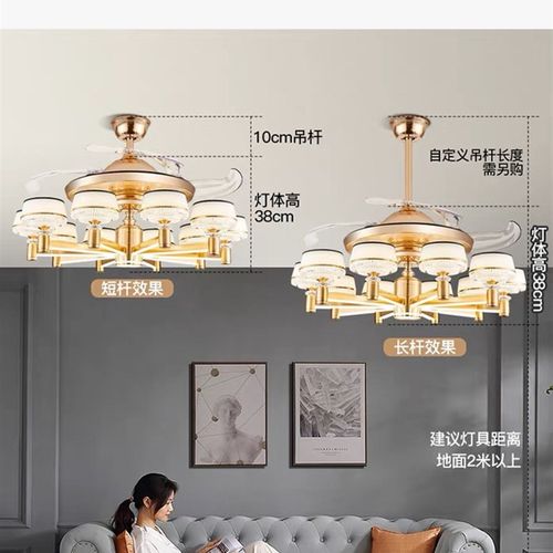 豪华客厅吊灯2023新款风扇灯球形仿古大风力可移动餐厅专用厨房
