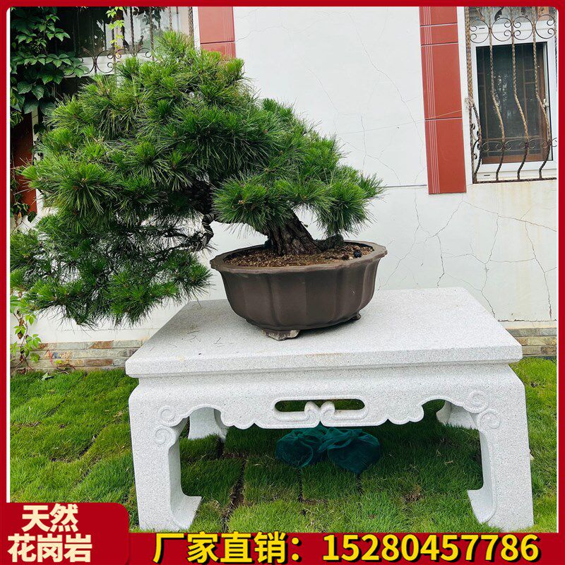 花架网红石雕花盆石桌古庭院花几博石凳台盆景底座户外石头中式