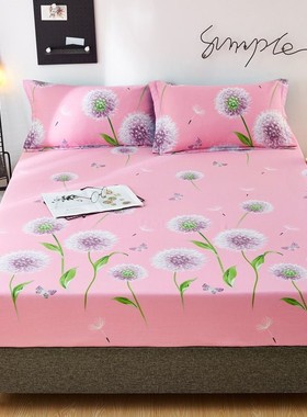 牛油果绿色全棉床笠单件1.8x2纯棉床罩120床套150/180x200c1.5