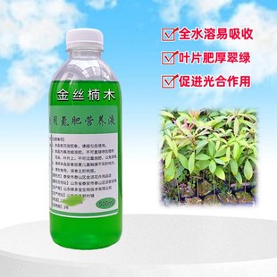 金丝楠木树苗专用氮肥营养液家庭院盆栽绿植物浓缩水溶性花卉肥料