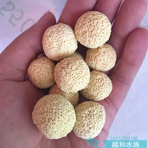 远红外细菌屋培菌鱼缸水族箱过滤材料石英细菌屋细菌环细菌球包邮