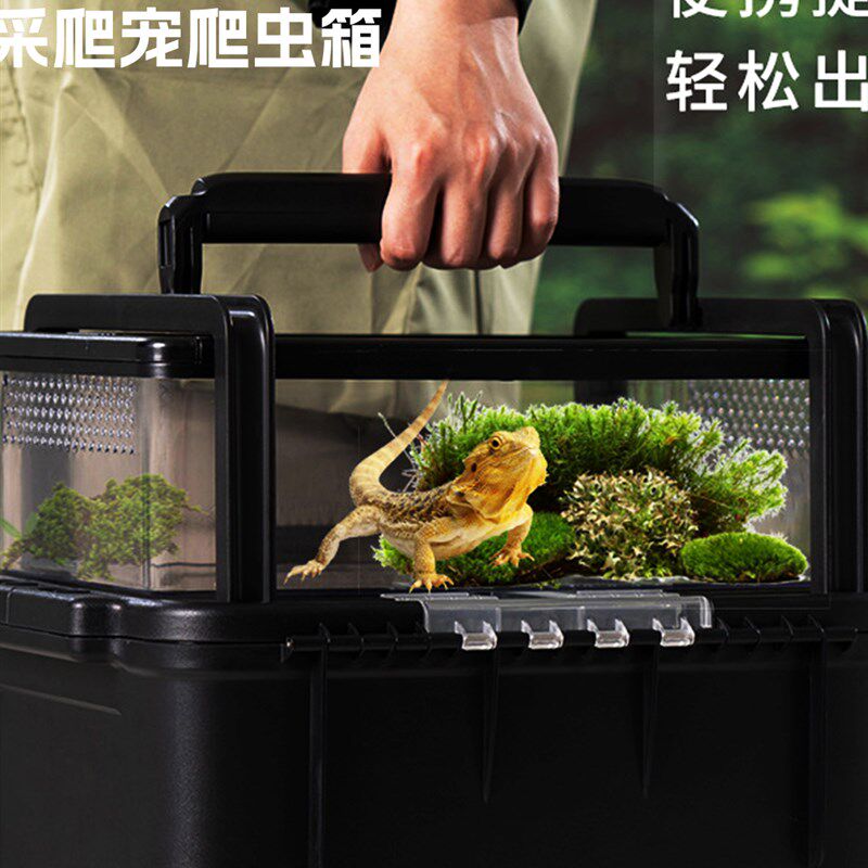 爬宠饲养箱户外便携昆虫盒子多功能运输防逃逸野采乌龟蜘蛛观察箱