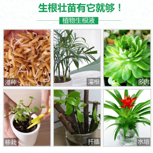 德沃多肥料生根液花卉扦插植物生根粉通用营养液多肉绿萝发根专用