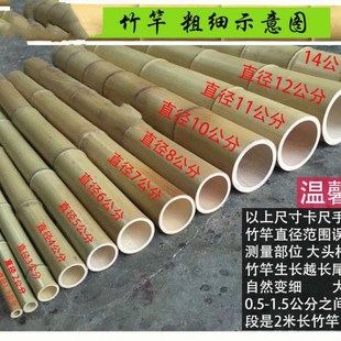 防腐竹竿装饰白黄粗细竹竿子豆角菜园黄瓜搭架菜架竹旗杆楠竹