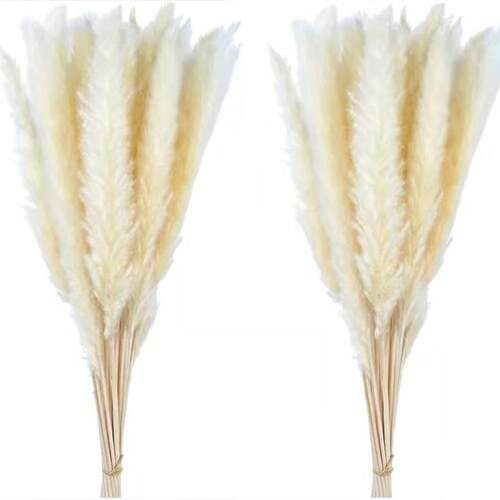 Small Reed Everlasting Flower Bouquet Christmas Diy Decorati