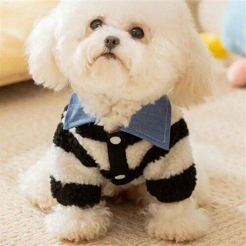 Pet Clothes Lambswool Dog Costume With Bear Strip Dog Cold