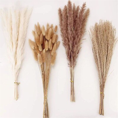 Reed Set Dried Flower Bouquet Nordic Style Decorative Orname