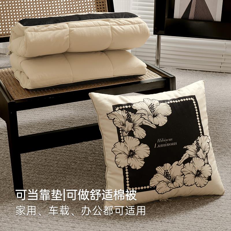范店莱奥妮抱枕被子二合一办公室折叠午睡枕头毯子两用车载空调被
