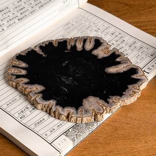 天然木化石切片桌面摆件博古架格子树化石装饰摆饰设计师样板房