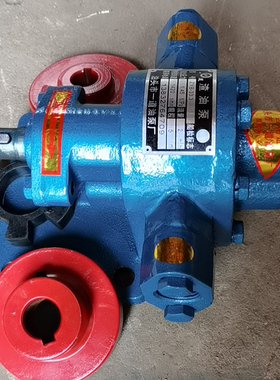 铸铁齿轮油泵电动自吸泵ZYB18583合金钢机械密封高温抽菜籽油泵
