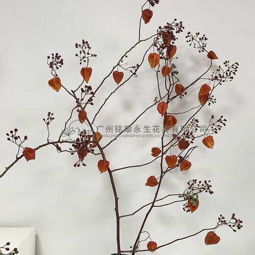Mountain Rose Hip Dried Flower Arrangement Flower Materials