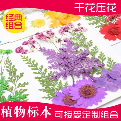 Dried Flower Pressed Flower Combination Packet, Embossed Rea