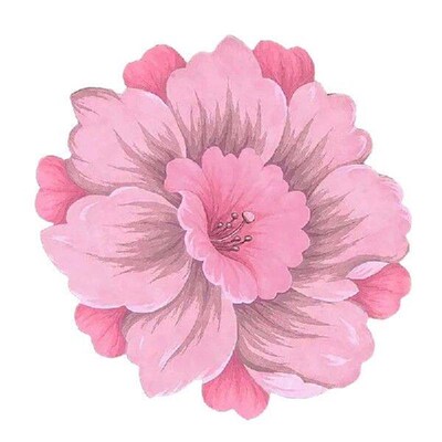 Decorative Flower Pattern Rug Plushes Carpet Bedroom Living