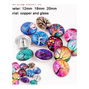 sand beach turtle anchor Round photo glass cabochon demo fla