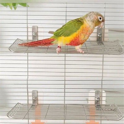 Bird Perch Stainless Steel Parrot Perch Plate Parakeets