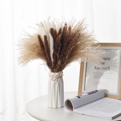 Yunnan Dried Flower Manufacturer E-commerce Small Reed Dried