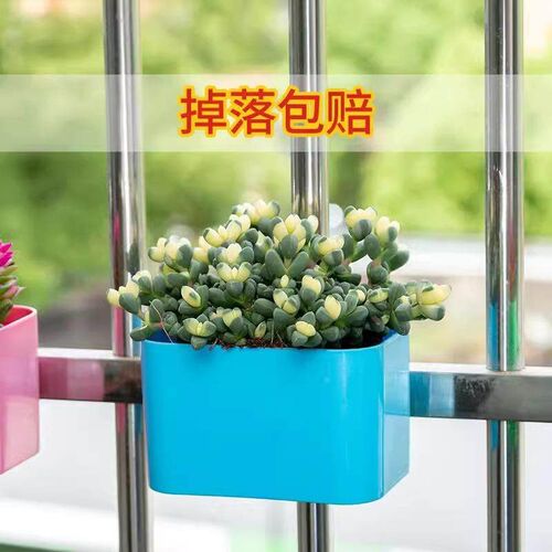 Hanging Planter - Simple Wall-Mounted Multifunctional Green