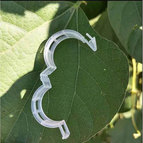 Agricultural fruit and vegetable seedling support clips, thi