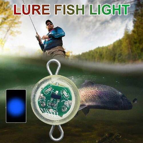LED Fishing Lure Trap Light Eye Shape Mini Attracting Fish