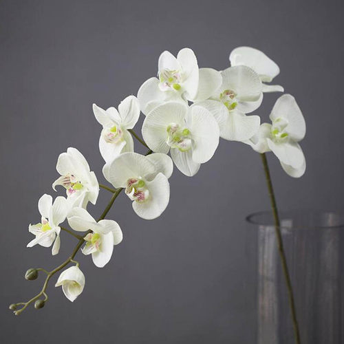 110CM 11 Heads Silk Orchid Phalaenopsis Flowers DIY Wedding