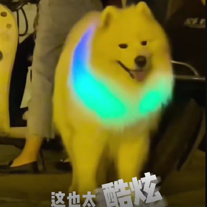 宠物夜行灯发光项圈狗狗夜间遛狗灯吊坠颈圈脖子防走失走丢防水