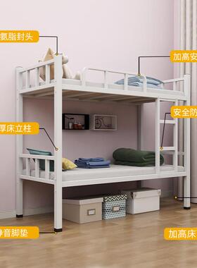 上下铁铺员工宿舍工地学架床子SDDS-633床双层床床铁架床高低床铁