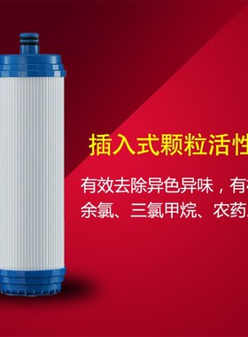 适用沁园10寸插入式颗粒活性炭RO185 UF1新 QG-U-100 GJ新净水器