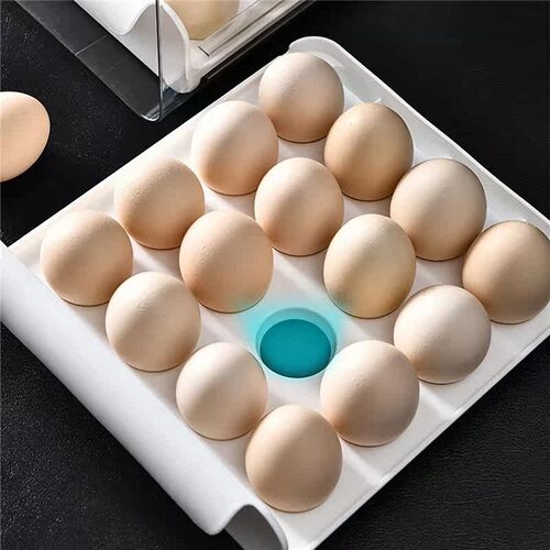 32 Lattice Egg Drawer Fridge Organizer Holder Transparent St