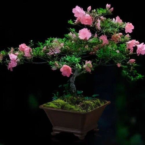 Simple Imitation Purple Clay Flowerpots Colorful DIY Plants