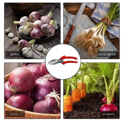 Food Scissors Multifunctional Kitchen Cutter Scissors