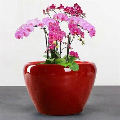 Ceramic Flowerpot Large Circular Opening Planter Pot