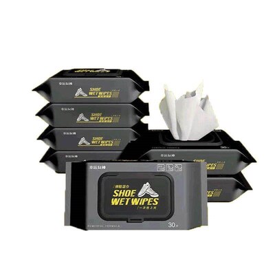Family Value Pack of Flushable Wet Wipes, Disposable Wet Tis