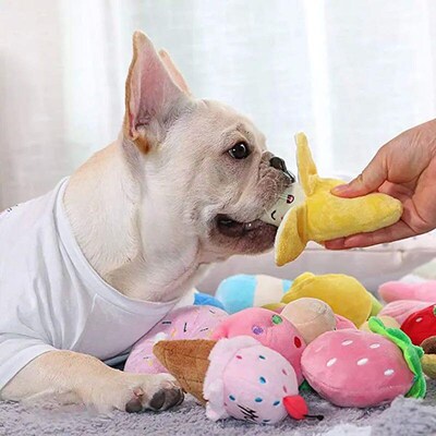 Dog Plush Squeaks Toys Interactive Chew Toy Puppy Cat Chihua