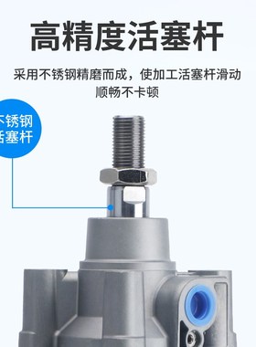 CP9SDB/100--0--100-1-1-0C标准气缸CP9SB3